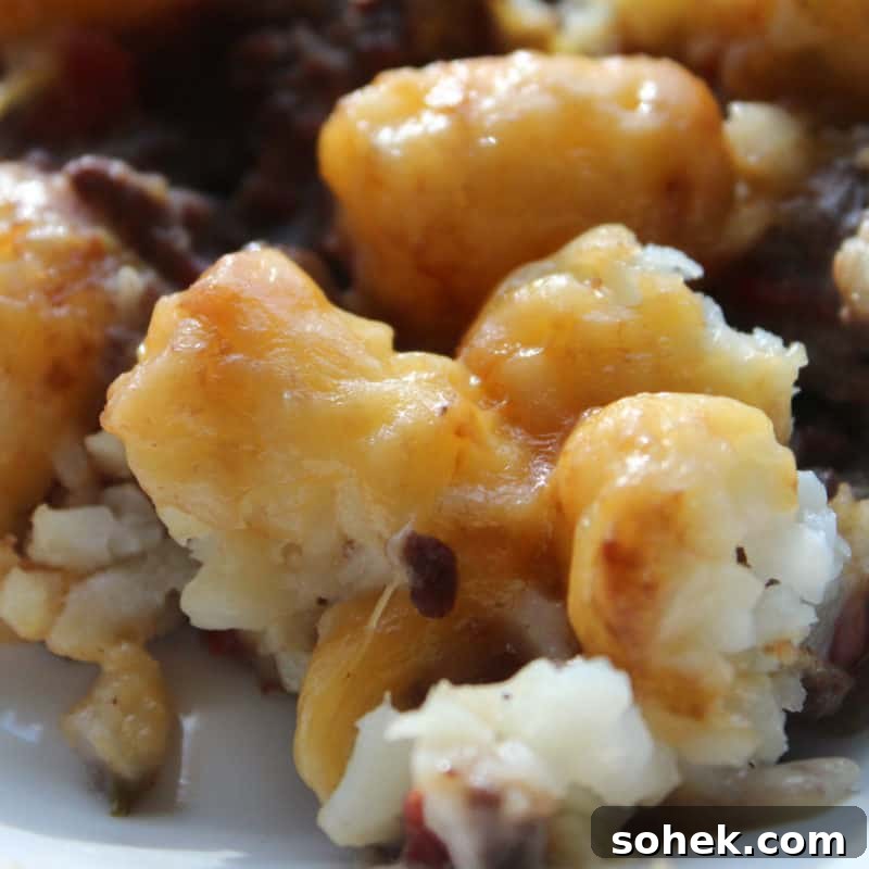 Tater tot casserole with melted cheese on a white plate