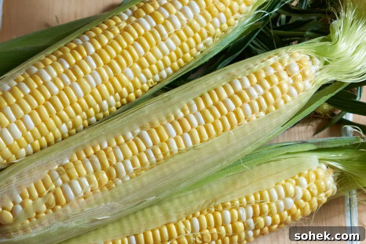 Three ears of corn on the cob with some of the husk pulled back.
