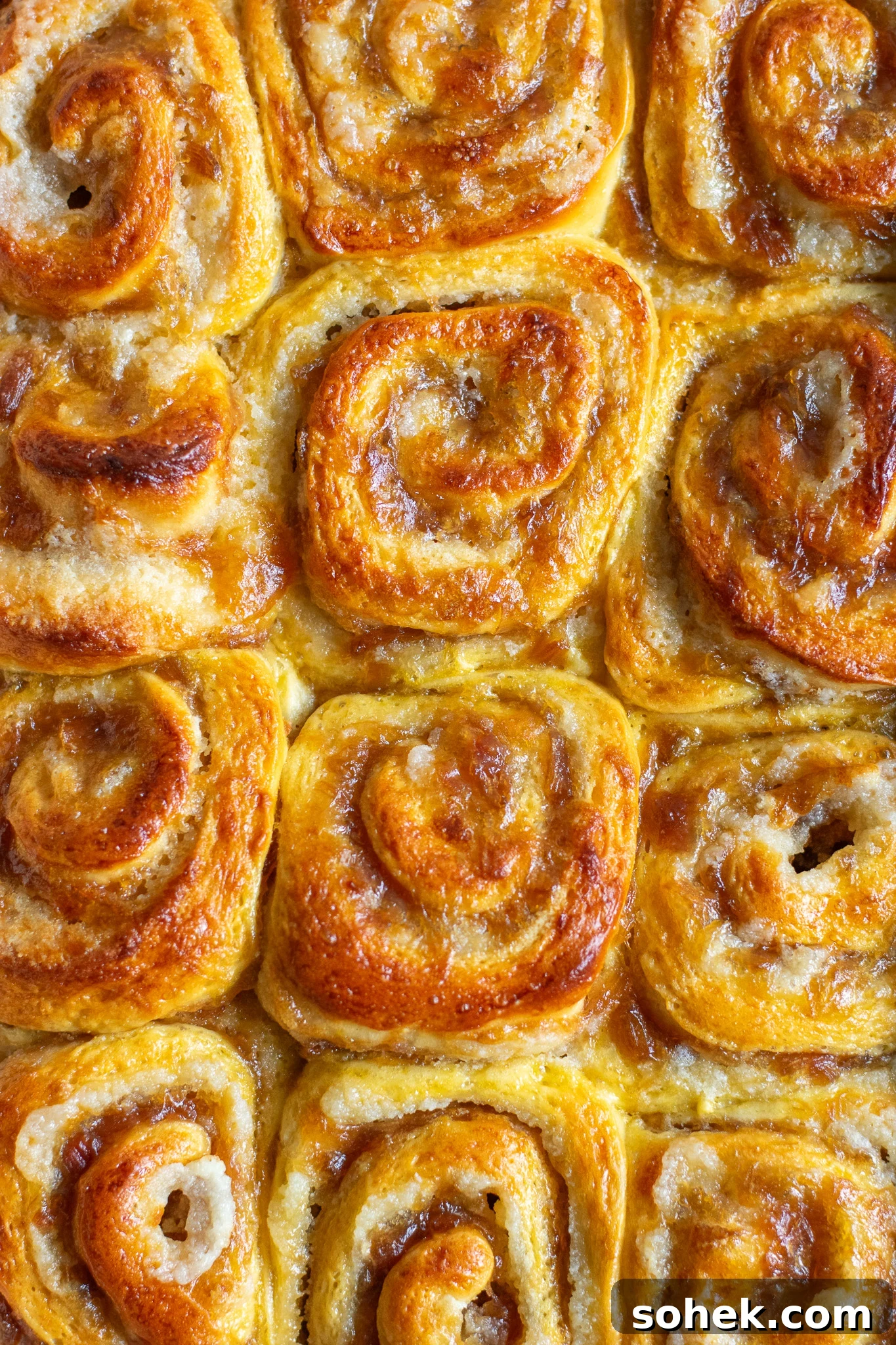 Rhubarb Almond Buns (Rabarber Scones with Almond Filling) 5 Rhubarb and marzipan swirls in a pan.
