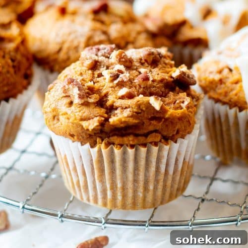 close up of easy 3 ingredient pumpkin muffins on wire rack