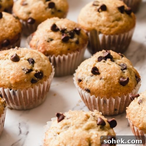 Lovely chocolate chip mini muffins on a counter.