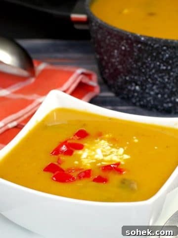 Pumpkin soup in white bowl