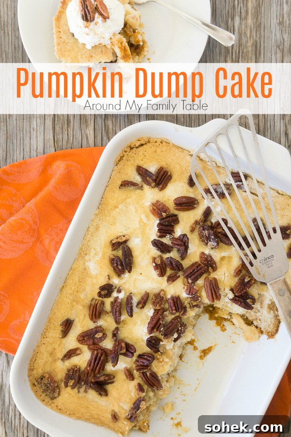 There is so much pumpkin flavor in this easy Pumpkin Dump Cake recipe that uses your favorite boxed cake mix.