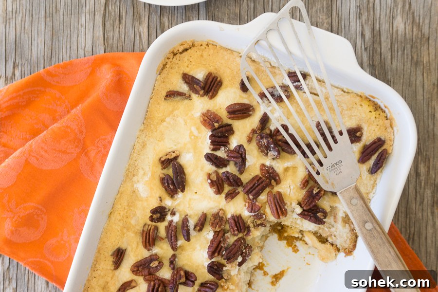 There is so much pumpkin flavor in this easy Pumpkin Dump Cake recipe that uses your favorite boxed cake mix.