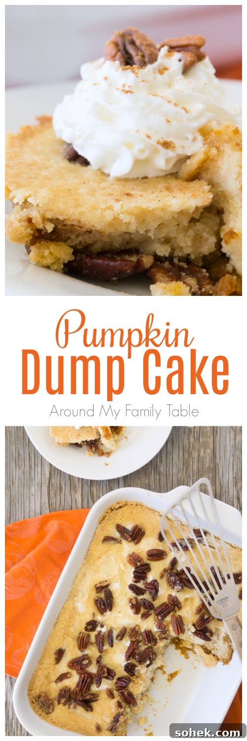 There is so much pumpkin flavor in this easy Pumpkin Dump Cake recipe that uses your favorite boxed cake mix.
