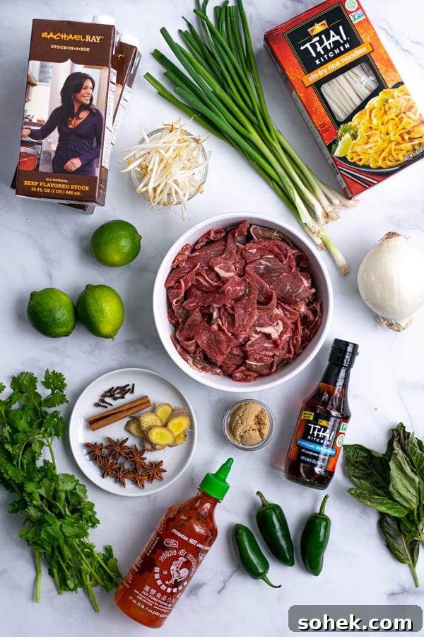 all of the ingredients needed to make pho in the crockpot