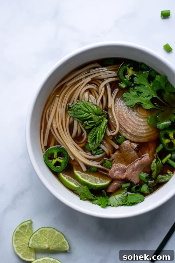 green garnishes cover a large bowl of beef pho