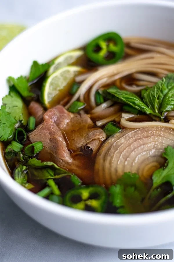 close up of steak, noodles, and garnishes in broth