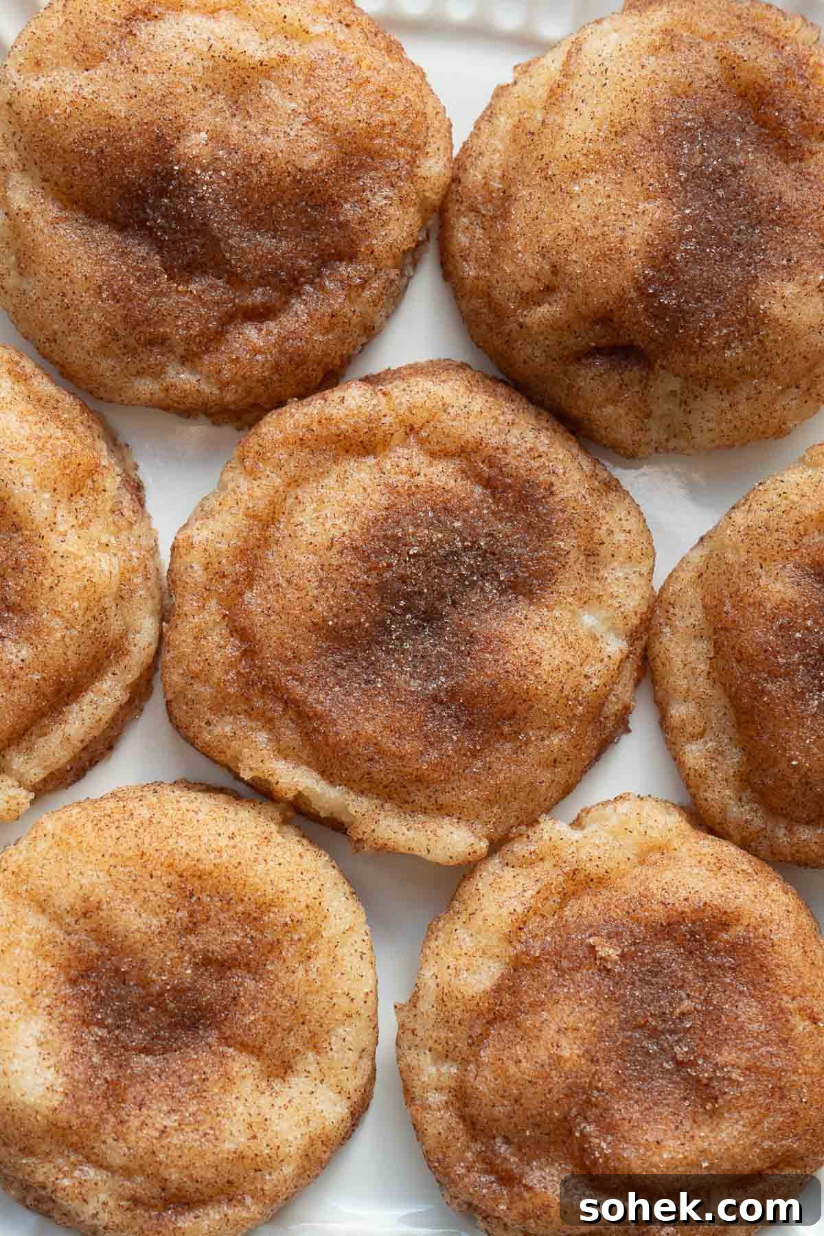 baked snickerdoodle cookies