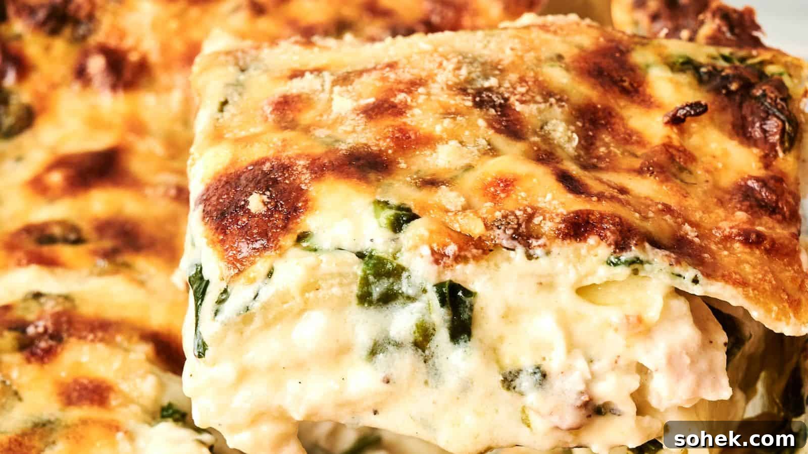 33 Quick Chicken Dinners for Busy Nights When You’re Tired but Hungry 19 Close-up of a slice of creamy lasagna with browned cheese on top and visible layers of pasta, spinach, and sauce.