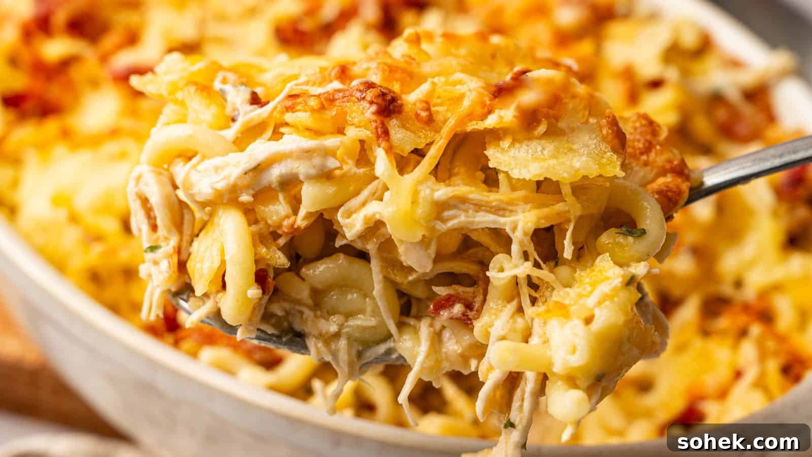 33 Quick Chicken Dinners for Busy Nights When You’re Tired but Hungry 32 A close-up of a spoonful of baked cheesy pasta casserole with shredded chicken and golden melted cheese on top.