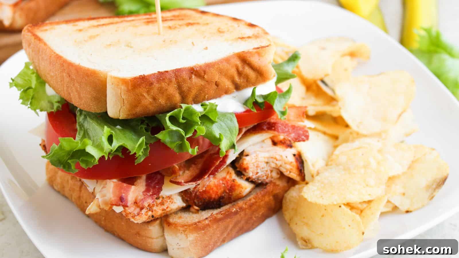 33 Quick Chicken Dinners for Busy Nights When You’re Tired but Hungry 9 A grilled chicken sandwich with lettuce, tomato, bacon, and mayonnaise on toasted bread, served with potato chips on a white plate.