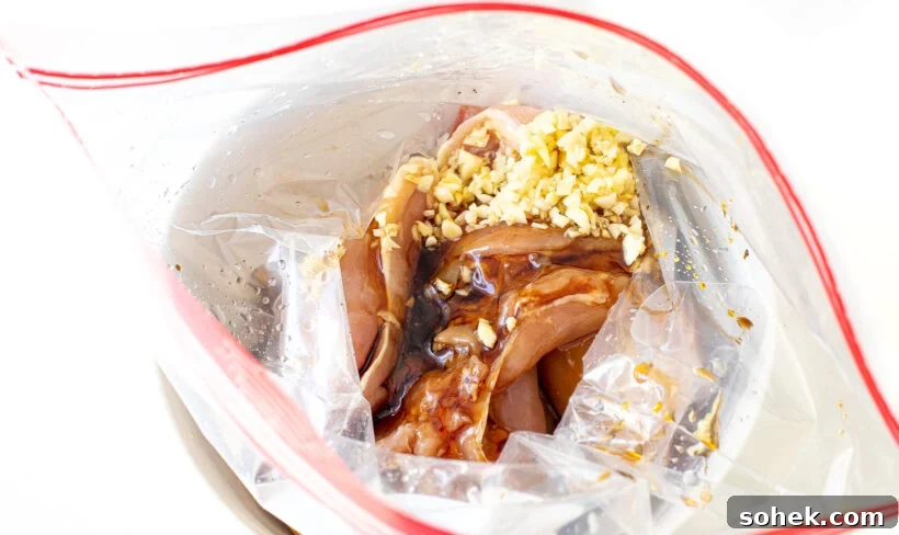 Honey-Lime Grilled Chicken with Sweet Citrus Glaze 4 Chicken thighs and marinade ingredients in a bag.