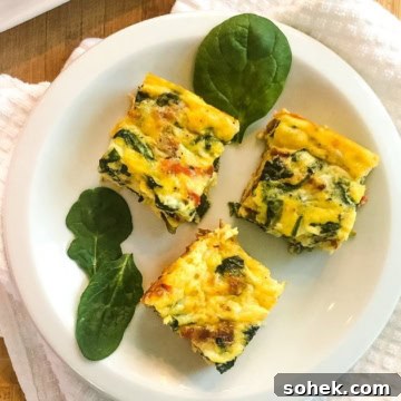 3 squares of crustless quiche