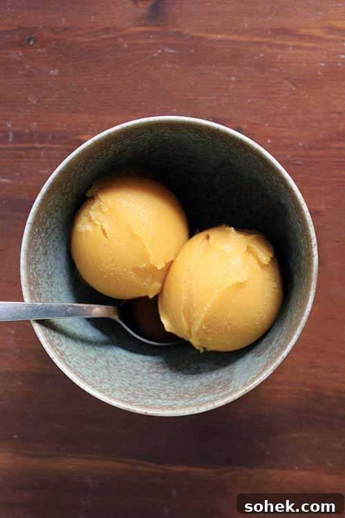 Learn how to turn any fresh fruit into a tasty homemade sorbet with just a touch of food science.
