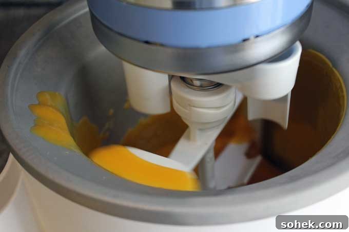 Making Sorbet with the Kitchen Aid Ice Cream Maker Attachment