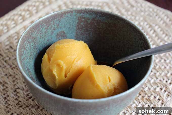 Mango Tequila Sorbet | Foodal.com
