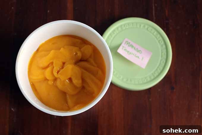 A Pint of Mango Tequila Sorbet | Foodal.com