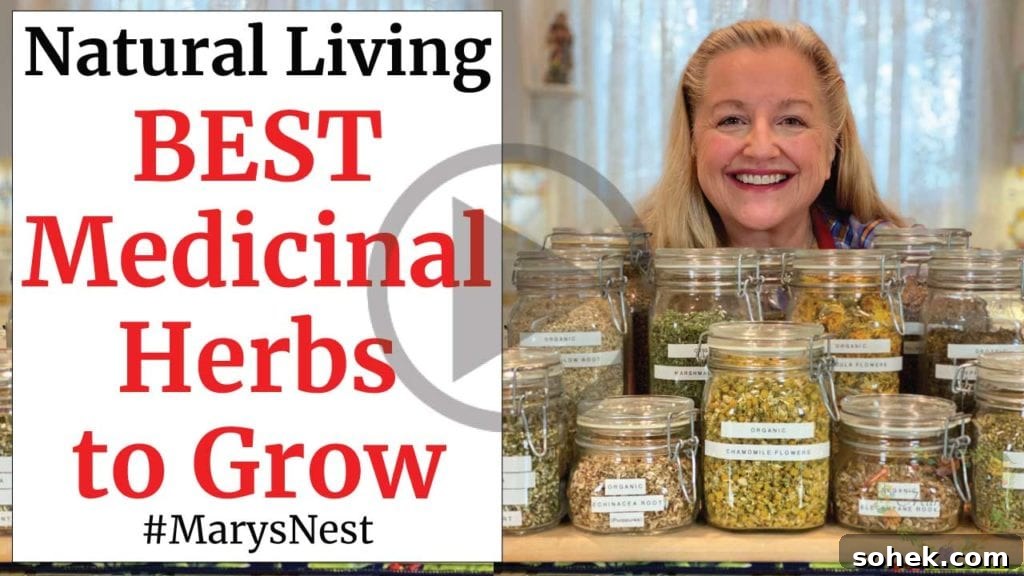 Top Survival Garden Seed Kits to Buy Now 9 Medicinal herbs to grow