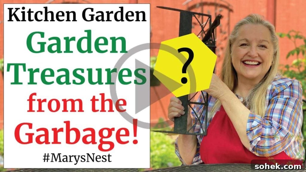 Top Survival Garden Seed Kits to Buy Now 10 Thrift store garden finds