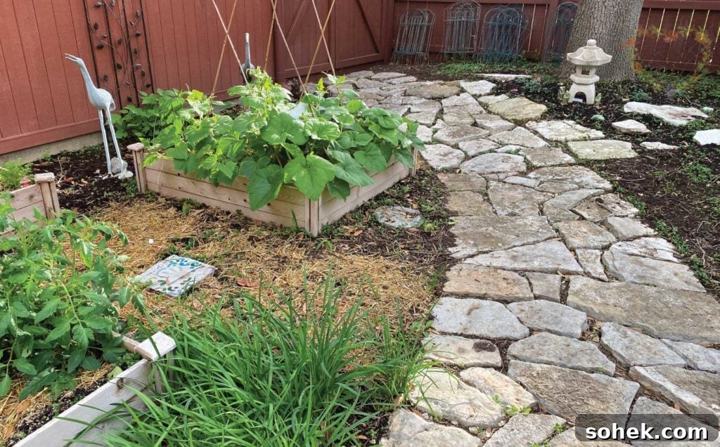 Top Survival Garden Seed Kits to Buy Now 2 Seeds and gardening supplies