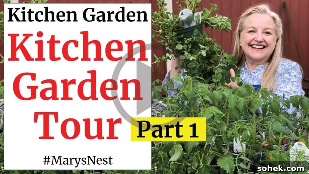 Top Survival Garden Seed Kits to Buy Now 8 Kitchen garden tour