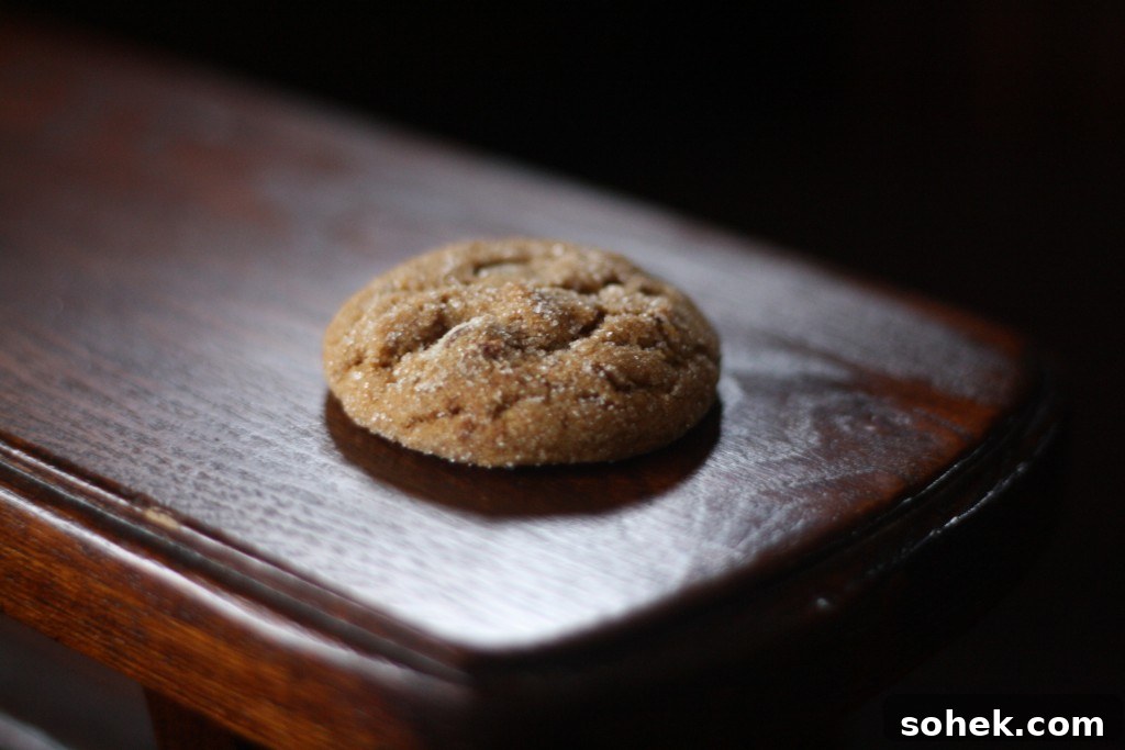 cookie img 2248 1