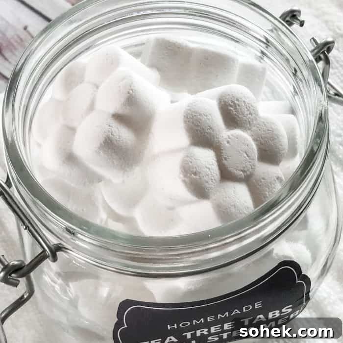 Tea Tree Acne Facial Tabs — Lush-Inspired Acne Treatment 8 flower shaped tea tree essential oil facial steamer tabs in open glass jar with custom label