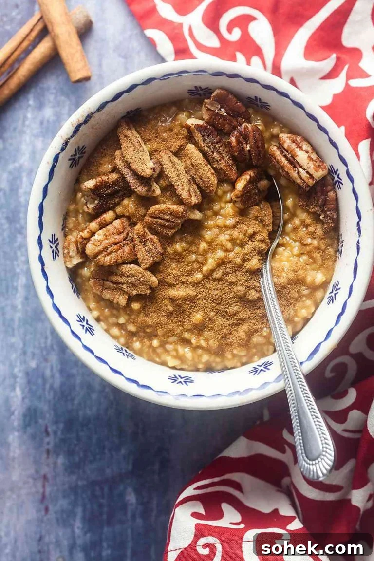 Instant Pot Steel-Cut Oats Recipe (Video Guide) 4 gingerbread oatmeal in a bowl