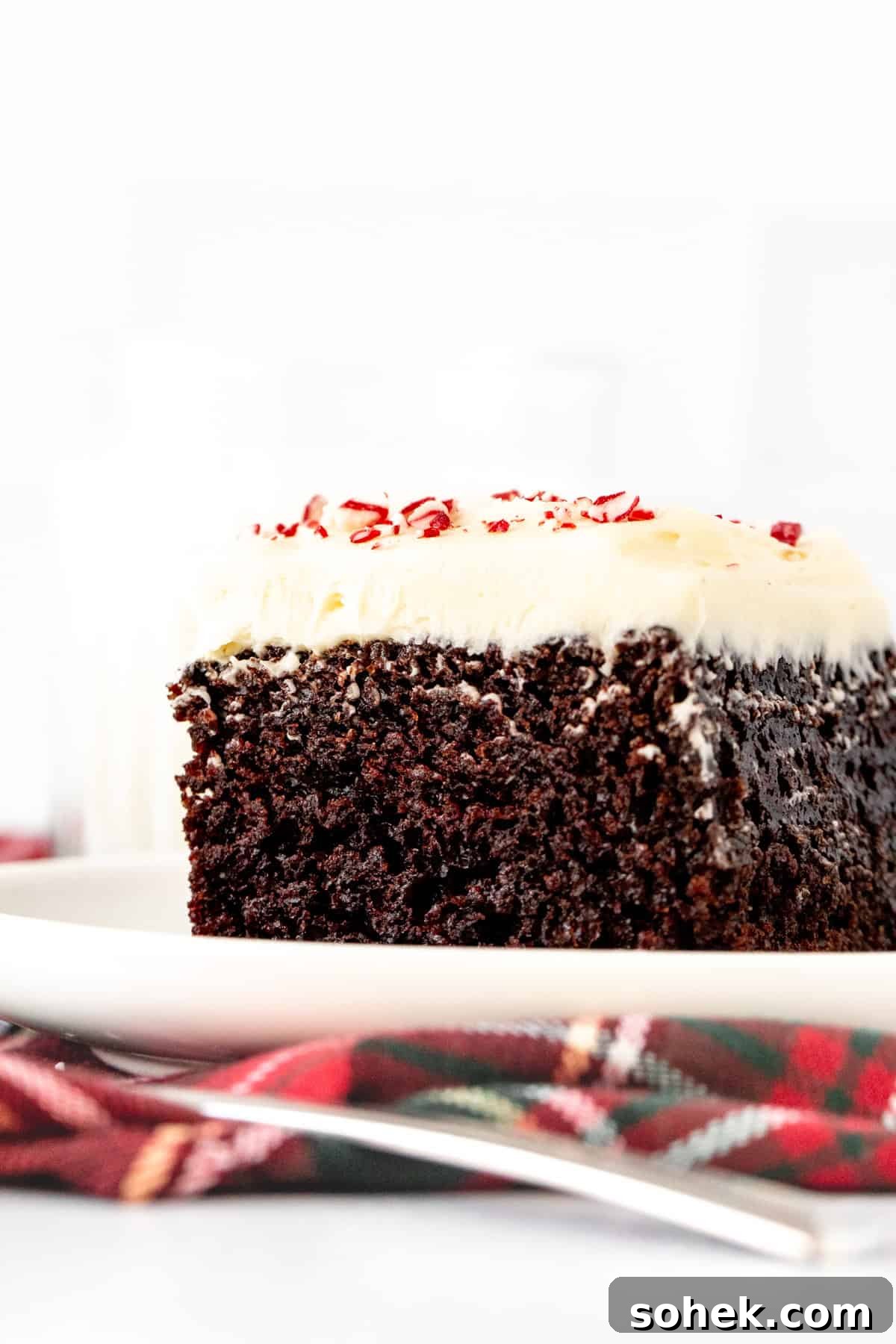 Slice of chocolate cake with white chocolate peppermint frosting and crushed candy canes on top