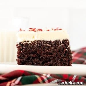 Slice of peppermint bark cake