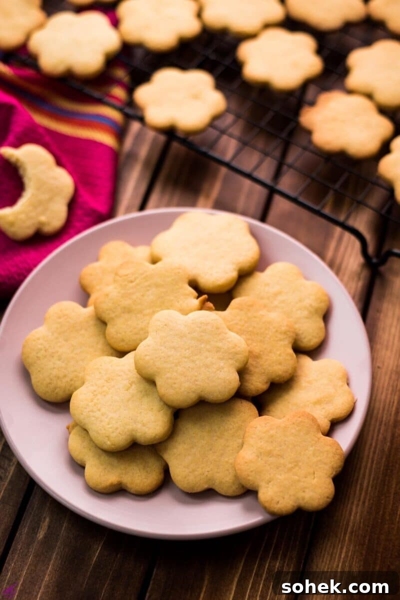 No-Chill Cut-Out Sugar Cookies Recipe — Soft, Ready-to-Roll 2 Delicious sugar cookies, placed on pretty plates on dark wooden background.