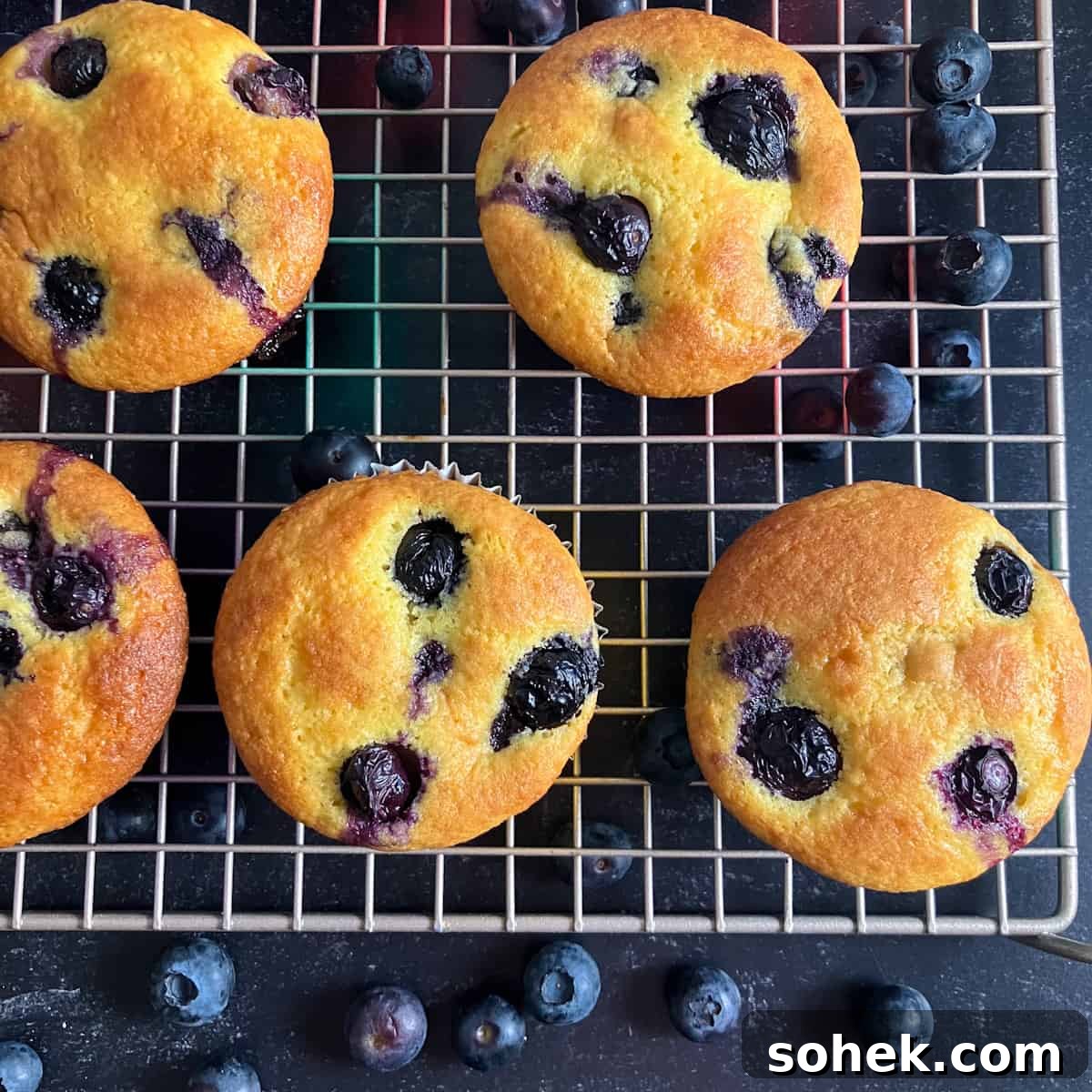 Blueberry Muffins Made with Cake Mix — Quick Muffin Recipe 2 blueberry muffins with cake mix