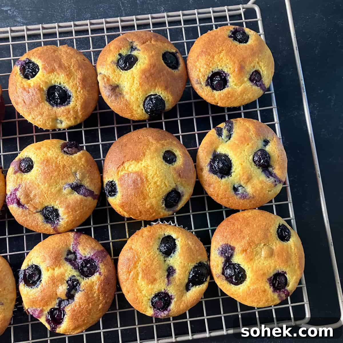 Blueberry Muffins Made with Cake Mix — Quick Muffin Recipe 5 blueberry muffins made with cake mix