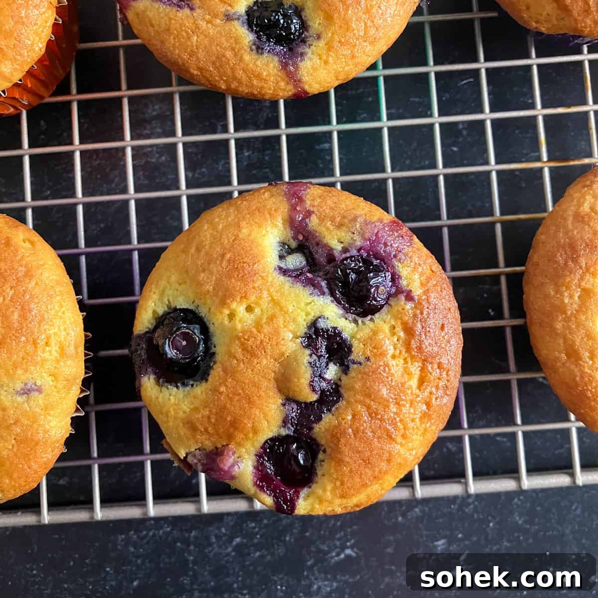 Blueberry Muffins Made with Cake Mix — Quick Muffin Recipe 6 blueberry muffin cake mix