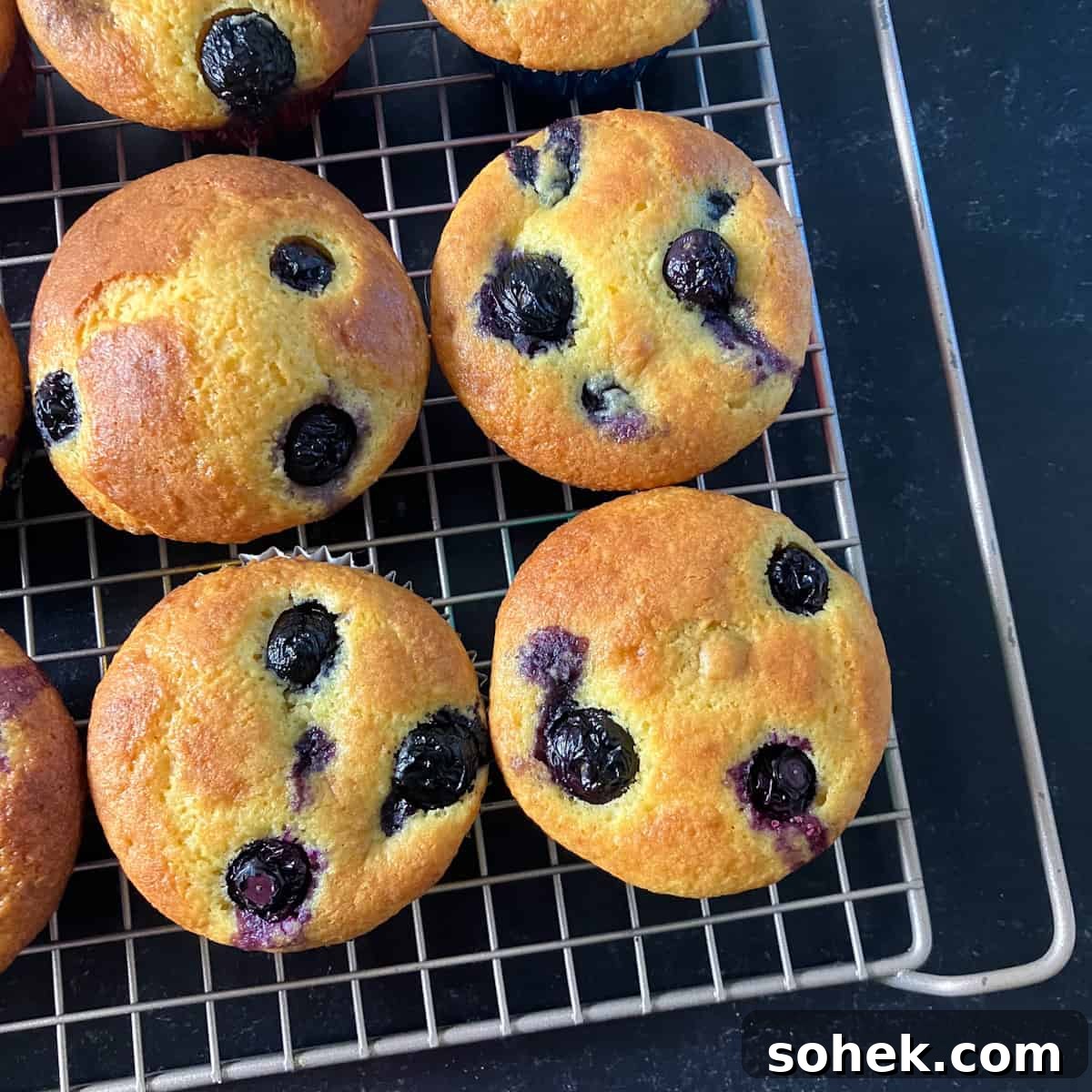 Blueberry Muffins Made with Cake Mix — Quick Muffin Recipe 9 cake mix blueberry muffins