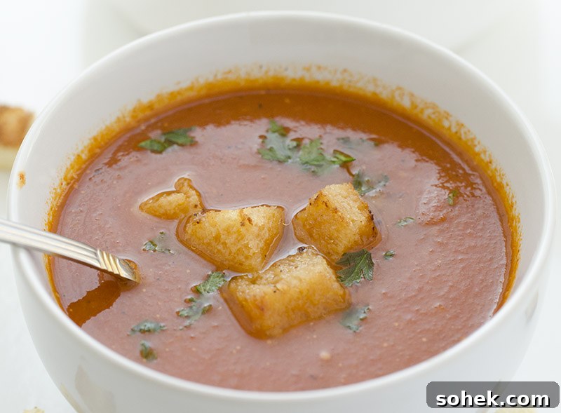 Creamy Homemade Tomato Soup Recipe for Comforting Weeknights 3 Tomato Soup - Close Up