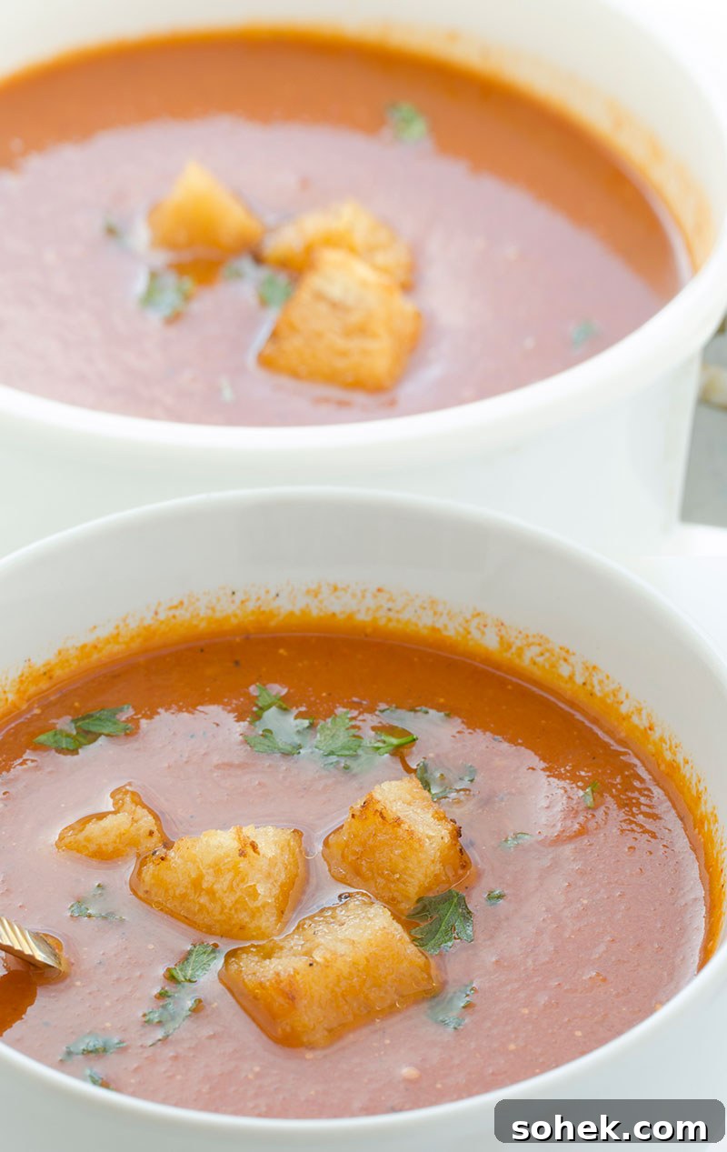Creamy Homemade Tomato Soup Recipe for Comforting Weeknights 4 Tomato Soup - 2 soups