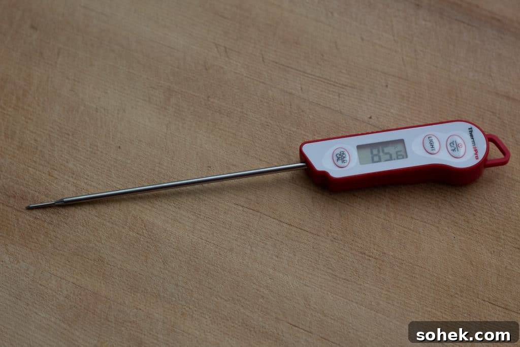 Top Instant-Read Meat Thermometers for 2024: Precise Picks 11 img 30063 10
