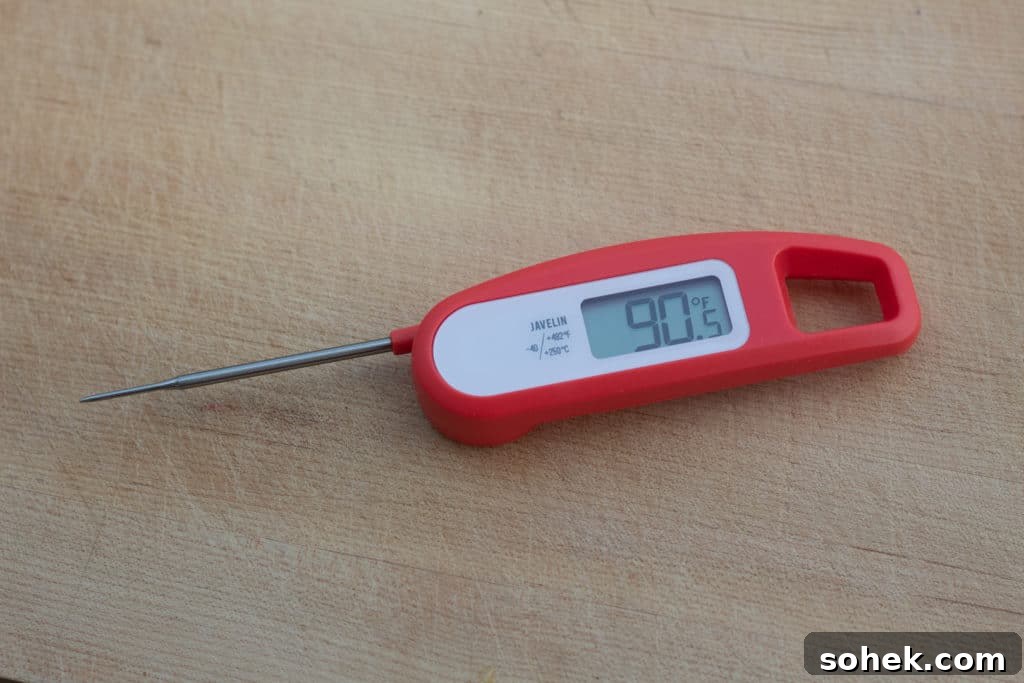 Top Instant-Read Meat Thermometers for 2024: Precise Picks 13 img 30063 12