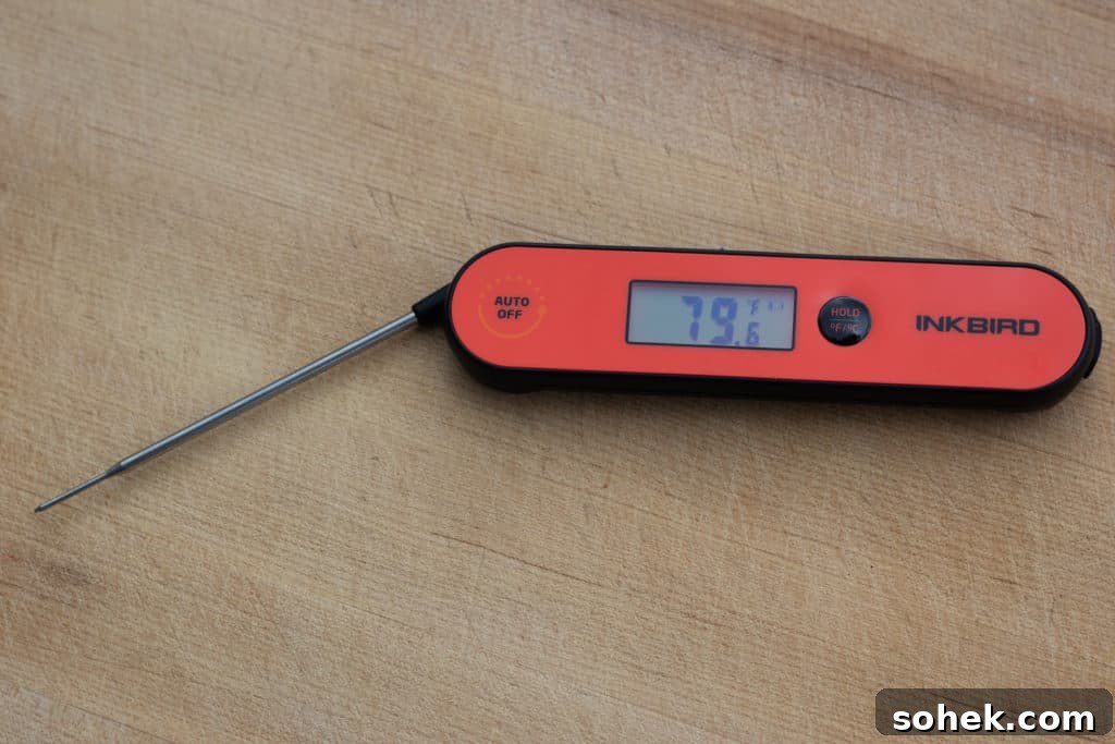 Top Instant-Read Meat Thermometers for 2024: Precise Picks 15 img 30063 14