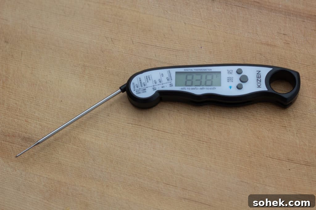 Top Instant-Read Meat Thermometers for 2024: Precise Picks 17 img 30063 16