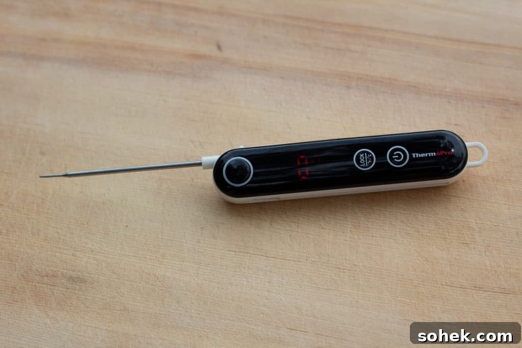 Top Instant-Read Meat Thermometers for 2024: Precise Picks 19 img 30063 18