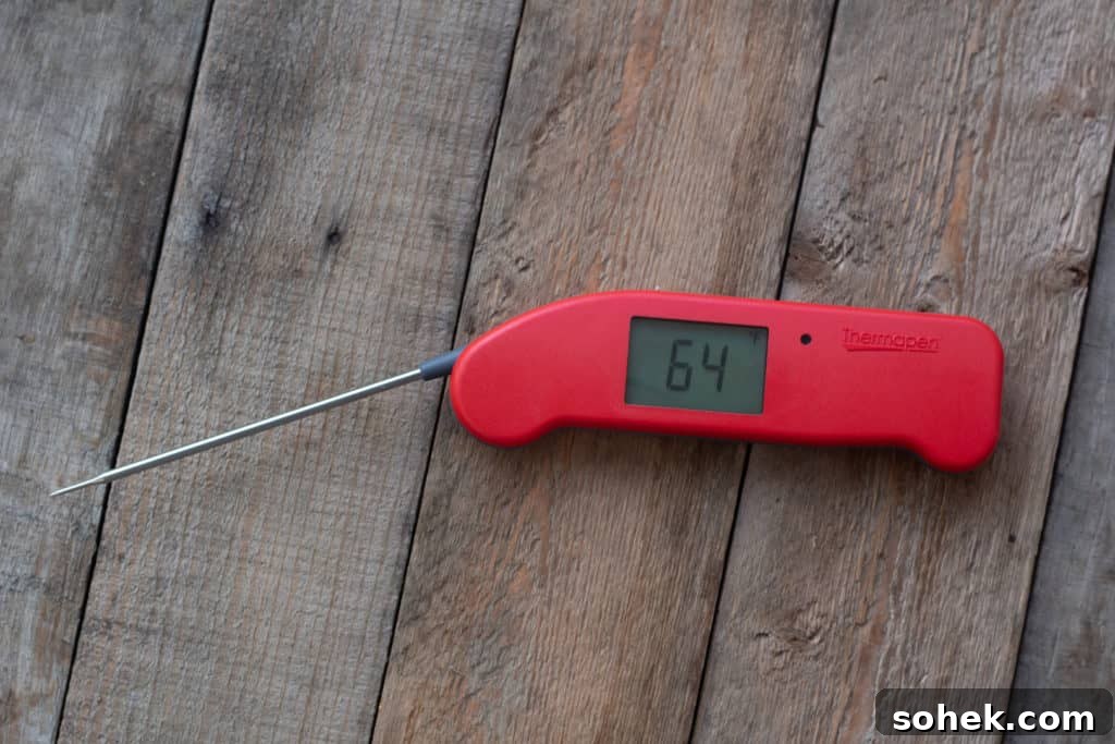 Top Instant-Read Meat Thermometers for 2024: Precise Picks 3 img 30063 2