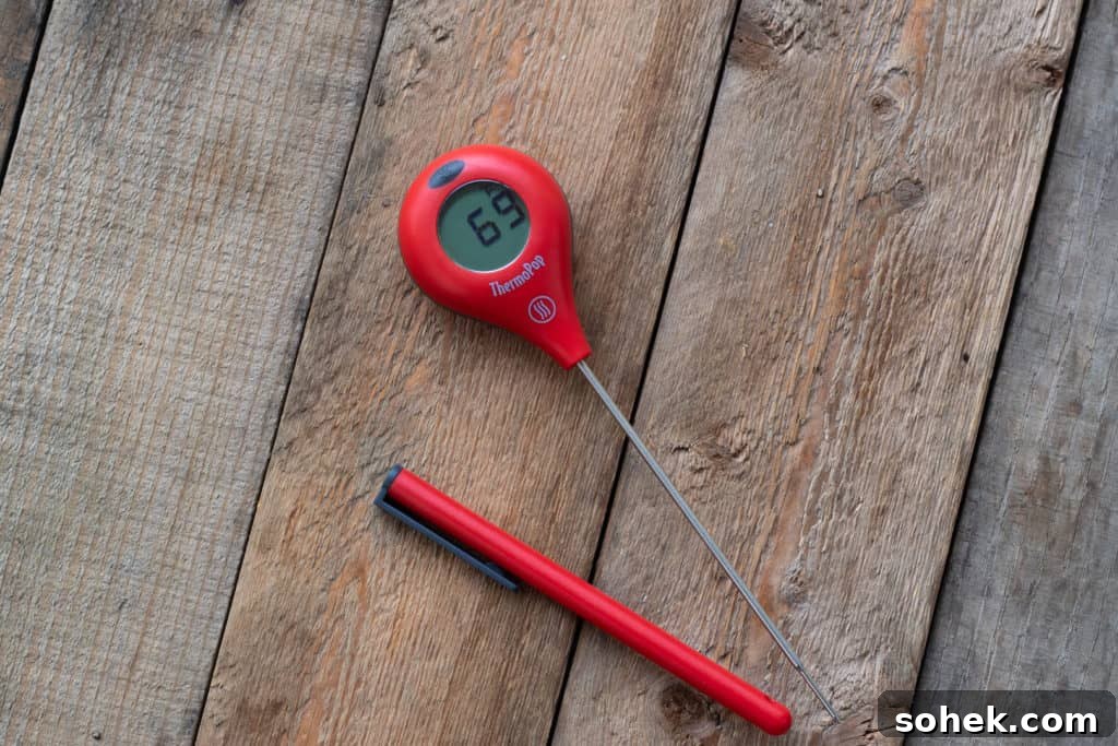 Top Instant-Read Meat Thermometers for 2024: Precise Picks 7 img 30063 6