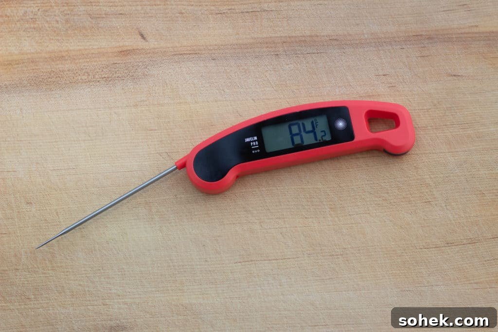 Top Instant-Read Meat Thermometers for 2024: Precise Picks 9 img 30063 8