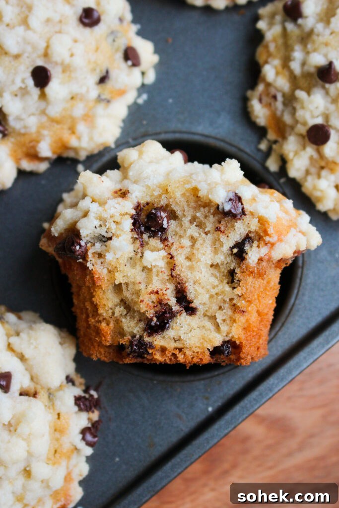 Chocolate Chip Streusel Muffins with Crunchy Cinnamon Topping 2 Chocolate chip streusel muffin
