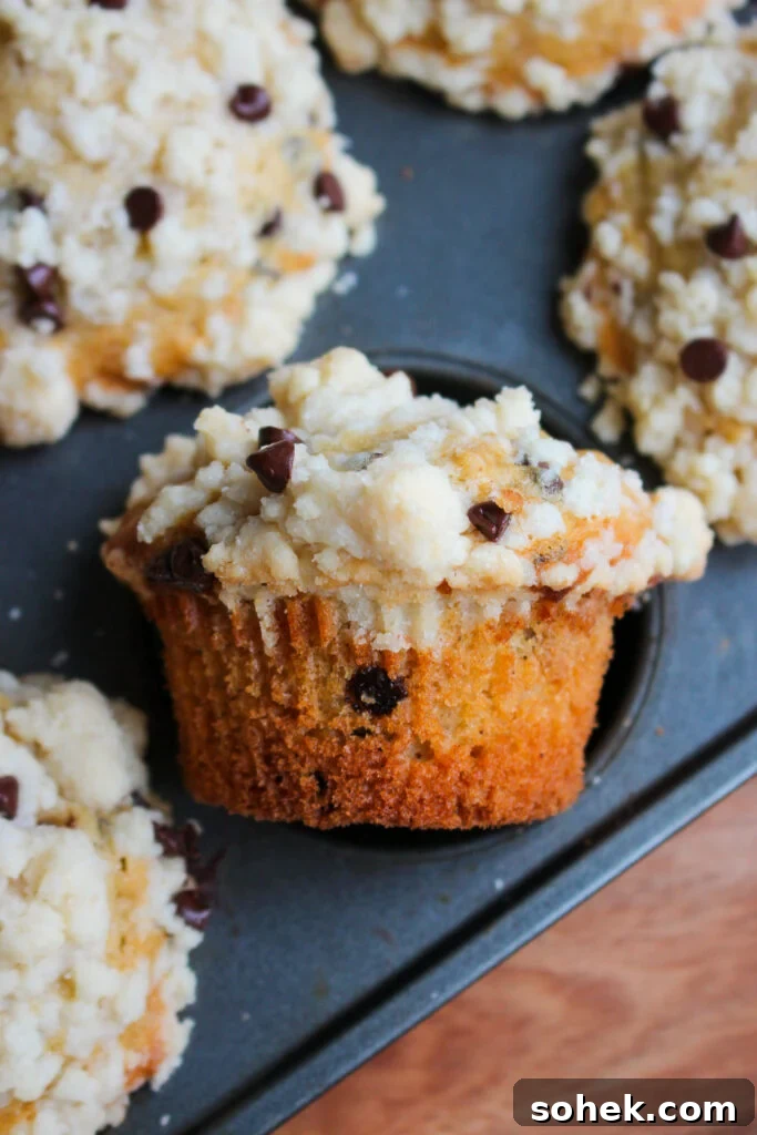Chocolate Chip Streusel Muffins with Crunchy Cinnamon Topping 11 Stack of finished muffins