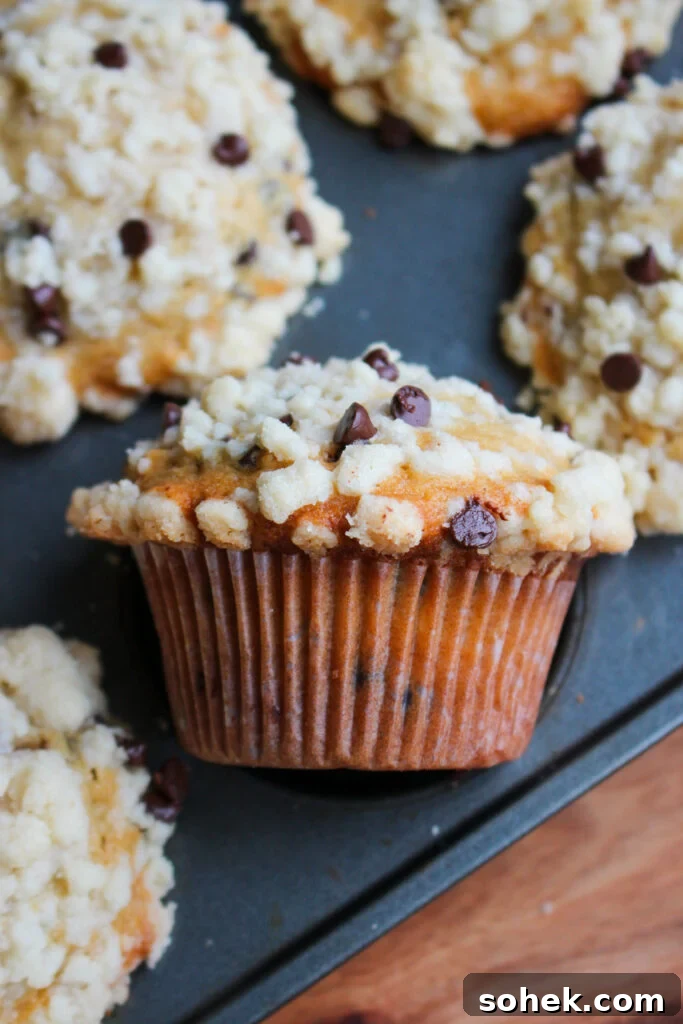 Chocolate Chip Streusel Muffins with Crunchy Cinnamon Topping 12 Close up of muffin crumb