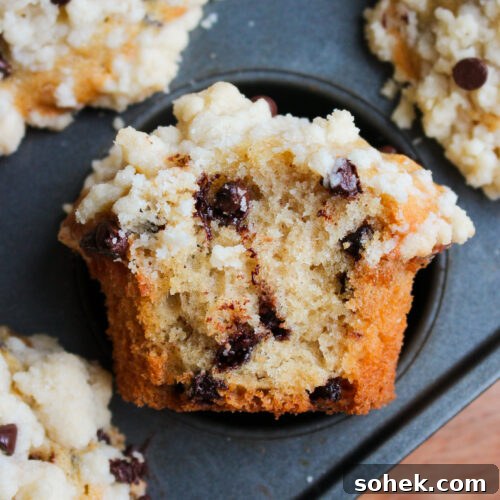 Chocolate Chip Streusel Muffins with Crunchy Cinnamon Topping 13 Chocolate Chip Streusel Muffins